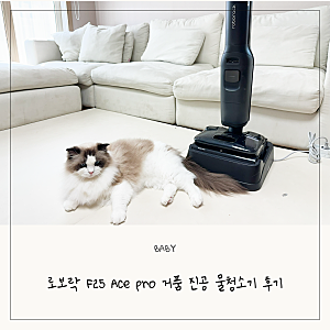 로보락 F25 Ace Pro 거품진공 물걸레청소기 육아육묘집에 써봤다