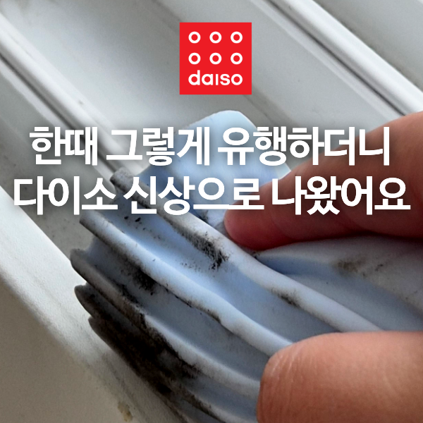 한때 그렇게 유행하더니 드디어 다이소 신상으로 나왔어요
