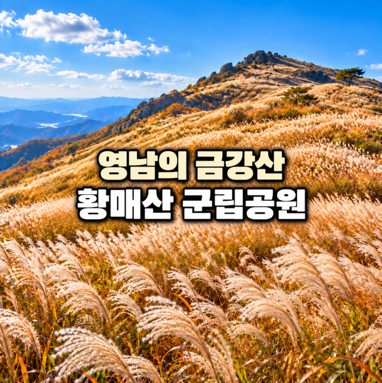 황매산 군립공원 억새축제·철쭉제, 수목원·숲속야영장·주차까지 한 번에