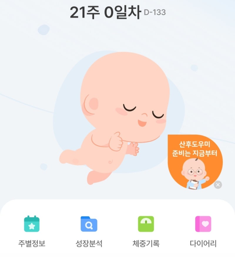 임신 20주 21주 정밀 초음파 후기 입체 초음파 프롬프트