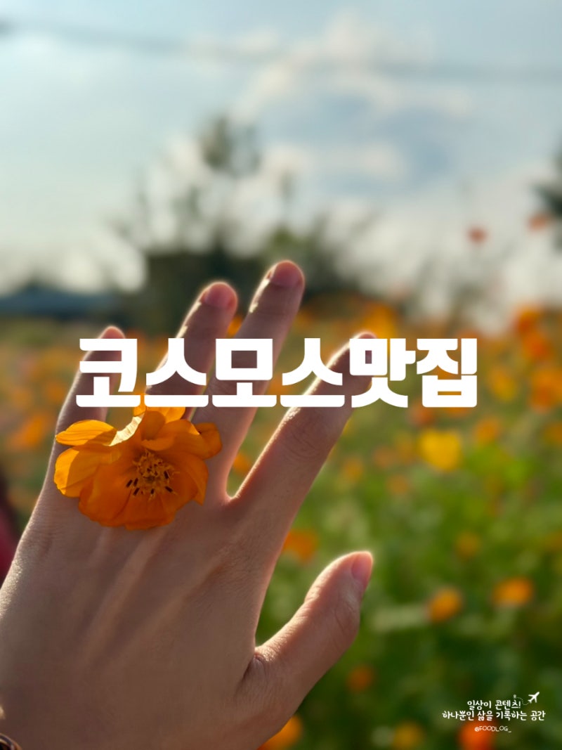 고양시 아이와 가볼만한곳｜물구리빵집부터 코스모스까지 이색 데이트 코스