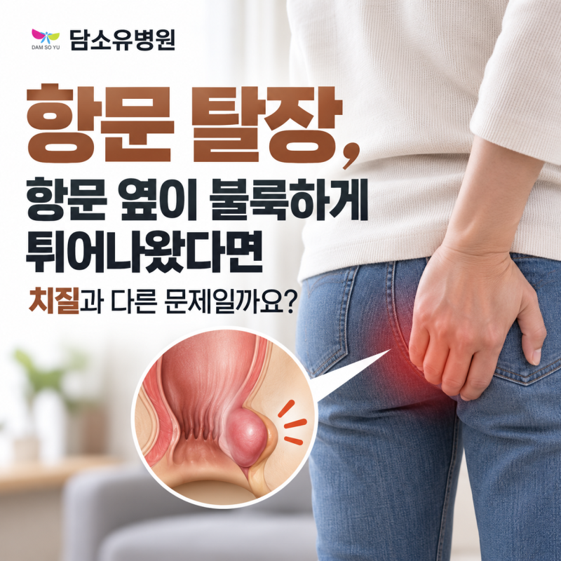 항문 탈장 항문 옆이 불룩하게 튀어나왔다면 치질과 다른 문제일까요?