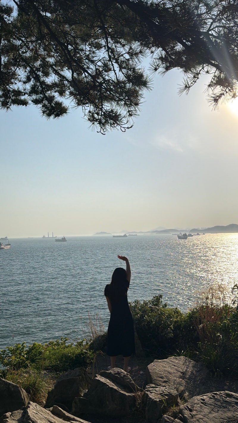 釜山影島必訪景點：太宗臺拍照區前往方式、Danubi列車、海女村 | 釜山旅遊路線推薦