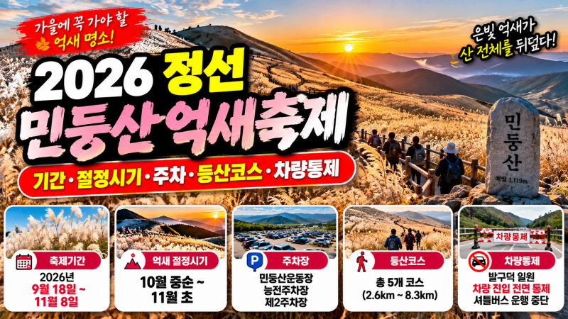 2026旌善民洞山ススキ祭り徹底解説｜期間・見頃時期・駐車場・登山コース・車両規制