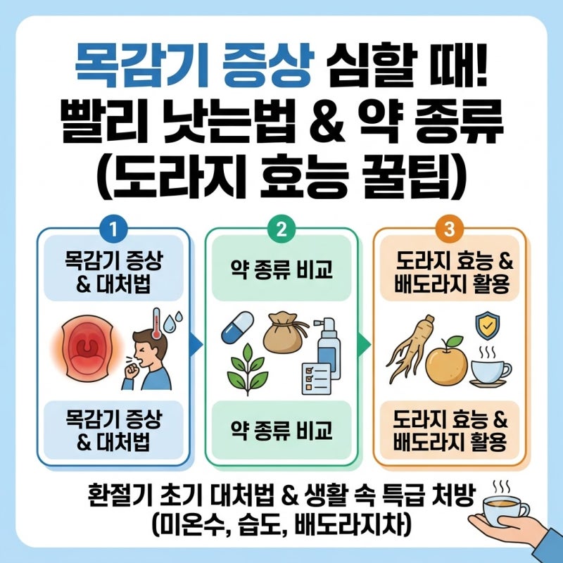 목감기 증상 심할 때 목감기 빨리 낫는법과 약 종류! 도라지 효능 담긴 배도라지 활용 꿀팁