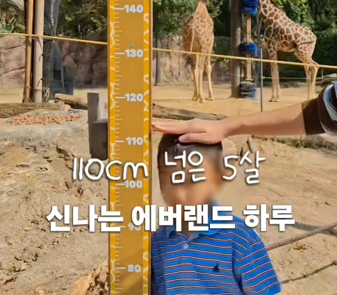 아이와 에버랜드｜110cm 넘은 5살 놀이기구부터 퍼레이드·사파리까지 하루 코스