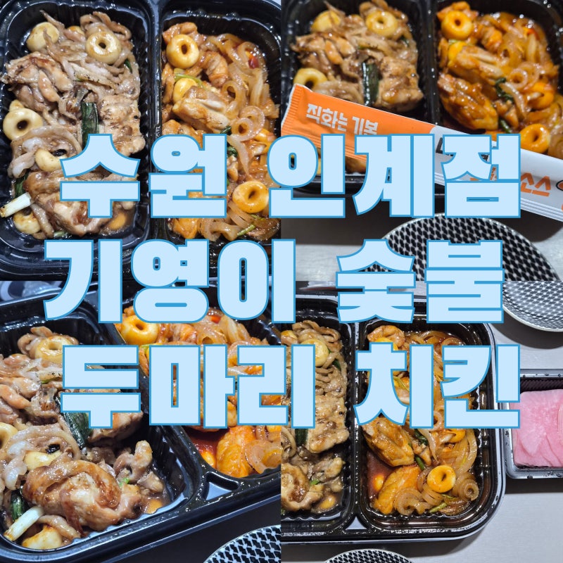 기영이 숯불 두마리 치킨 |갈비양념 막창누들 숯불 치킨&빨간양념 돼지껍데기 누들 숯불 치....