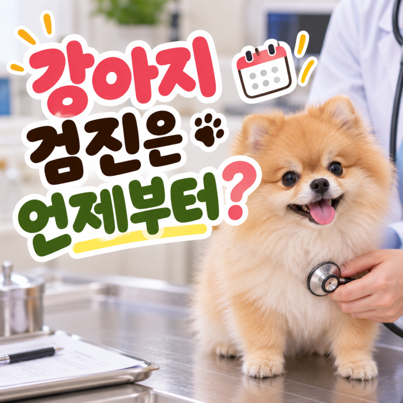 강아지 건강검진, 몇 살부터 시작해야 할까? 매년 받아야 하는 시기는?