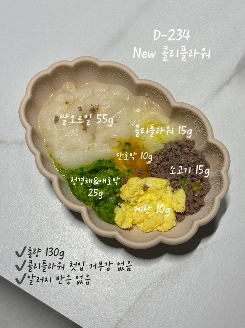 7개월 아기 초기이유식 레시피, 밀가루&땅콩 알러지 테스트 (오이, 시금치, 콜리플라워)
