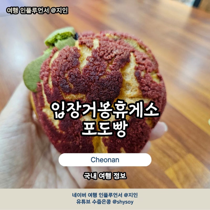 경부고속도로 입장휴게소 거봉포도빵 주유소 후기