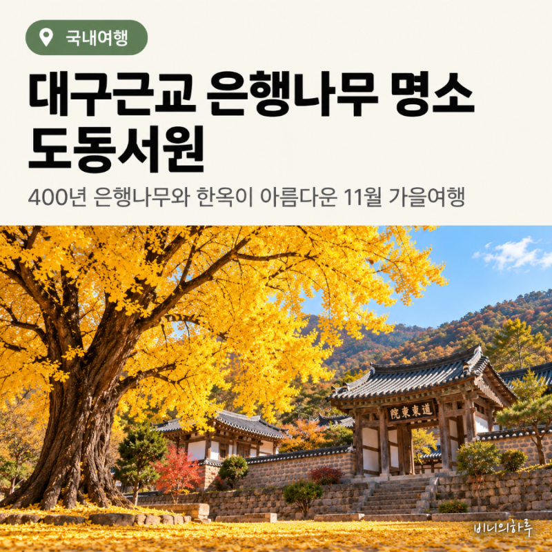 大邱近郊銀杏名勝道東書院 | 欣賞400年銀杏樹和韓屋的11月秋季旅行