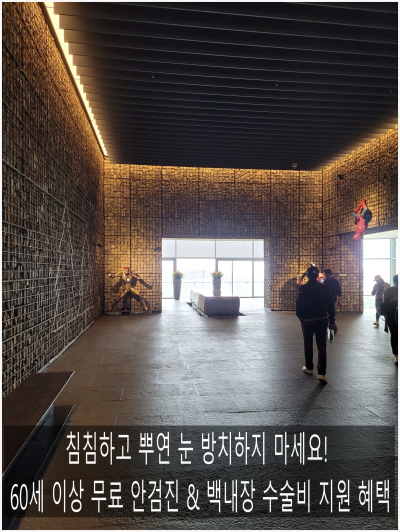 2026년 노인 안검진 무료 검사 대상 및 백내장 녹내장 수술비 지원 신청 방법 3분 정리