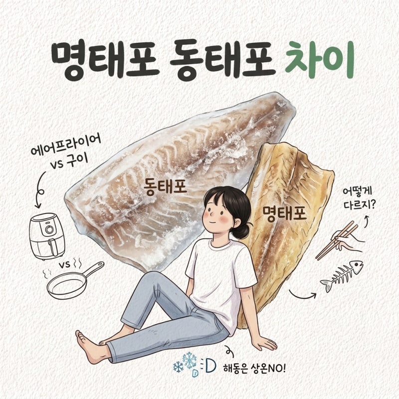 다른 생선인 줄 알고 따로 삼 명태포 동태포 차이 구이 해동 에어프라이어 보관