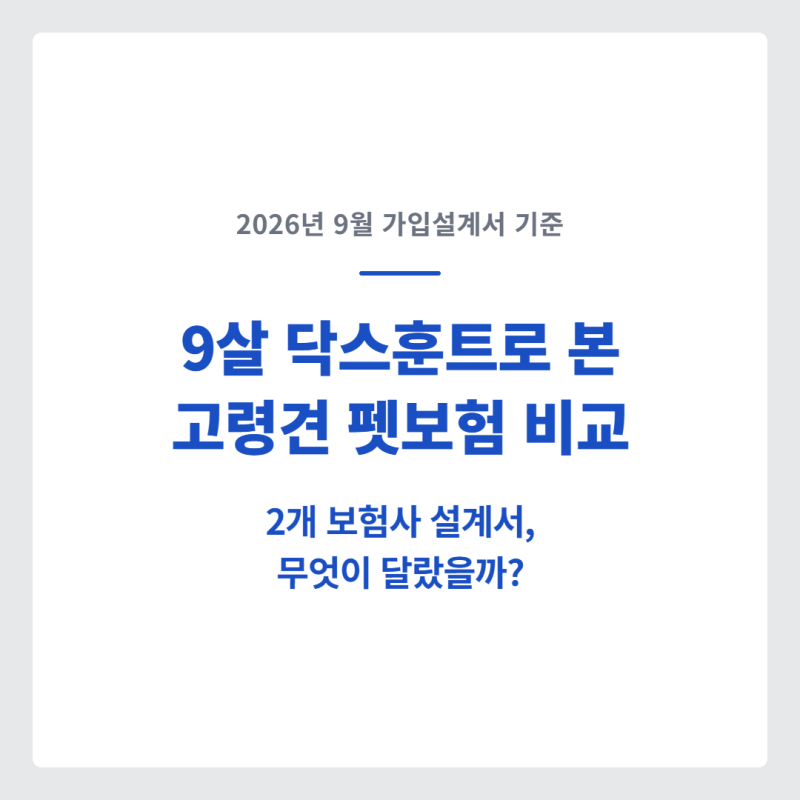 고령견 펫보험 비교, 9살 닥스훈트 2개 보험사 가입제안서로 보니 무엇이 달랐을까? (2026년 9....