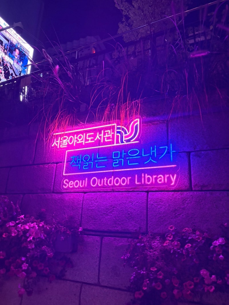 [서울 야경] 추석 연휴 밤 산책으로 딱! 청계천 '서울야외도서관 책읽는 맑은냇가' 힐링 후기 ....