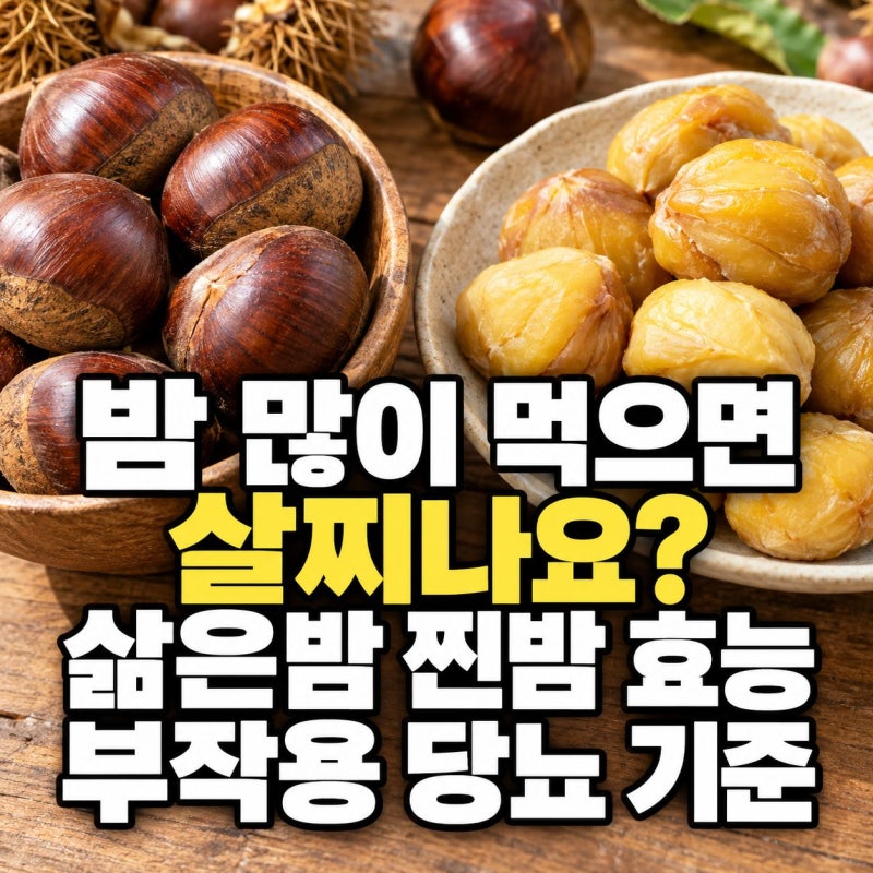 밤 많이 먹으면 살찌나요? 삶은밤 찐밤 효능 부작용 당뇨 기준