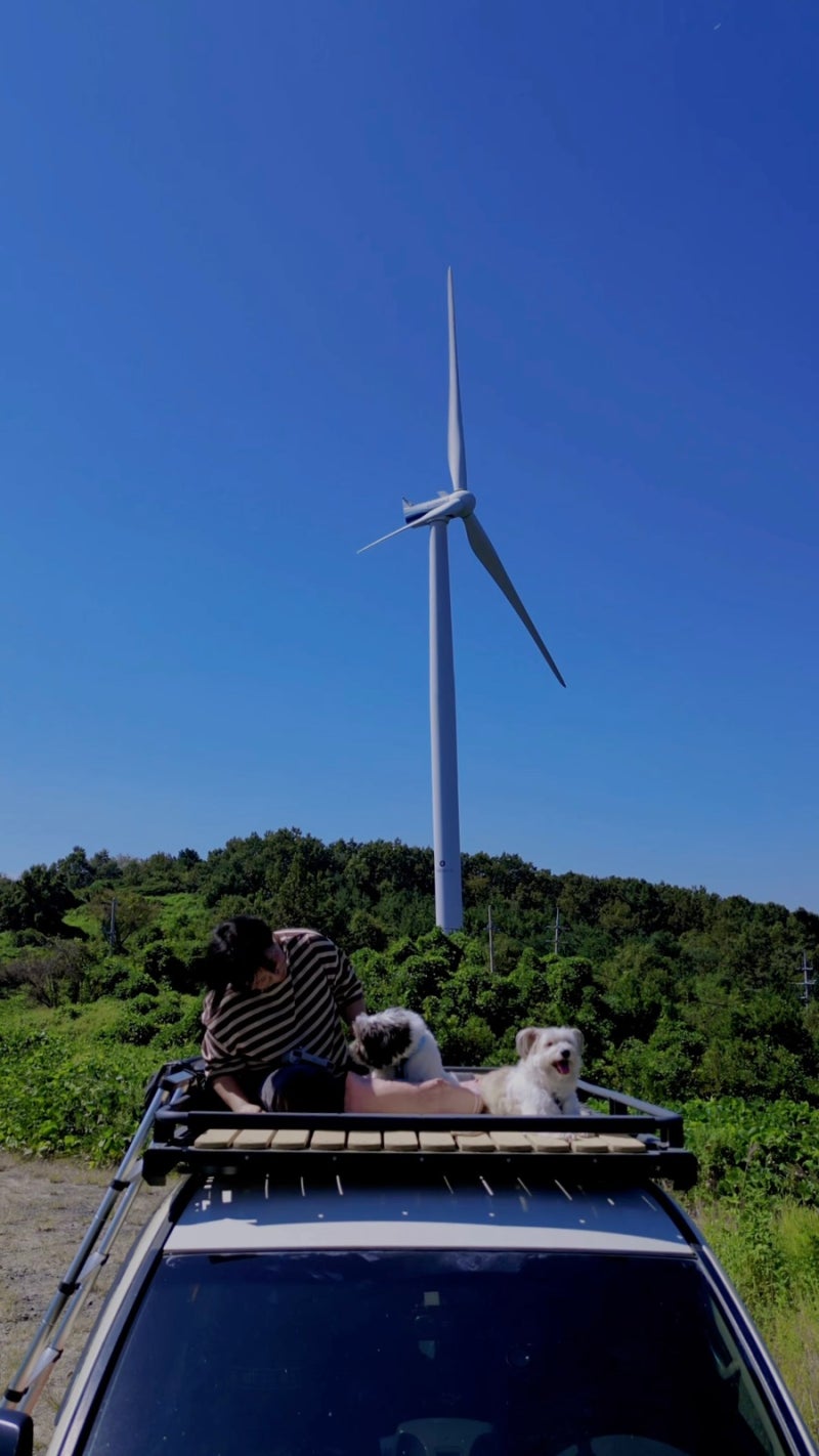 靈巖必訪景點，涼爽秋日最適合前往的舊西光牧場、活城山風力發電園區