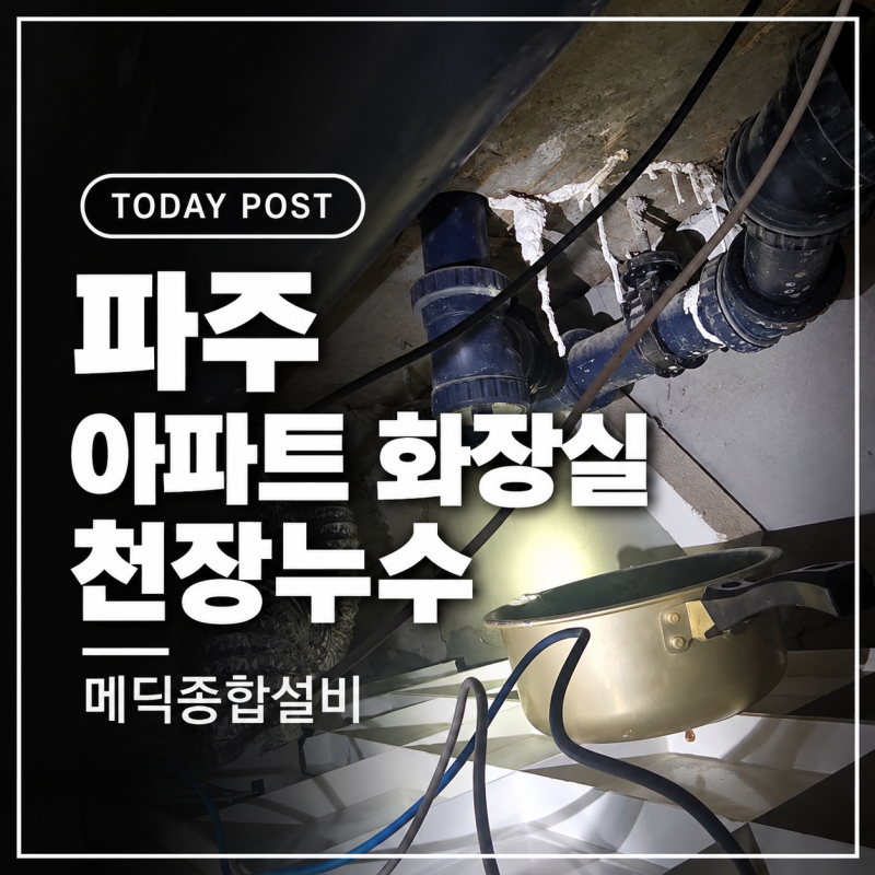 파주 아파트 화장실 천장누수 원인은 윗집 트렌치 유가