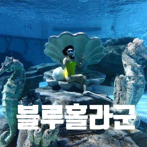 시흥 거북섬 웨이브파크 블루라군홀 프리다이빙 총정리: 이용시간, 가격, 수온, 주차, 미오코....