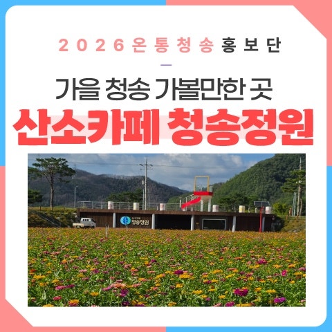 가을 청송 가볼만한 곳 산소카페 청송정원