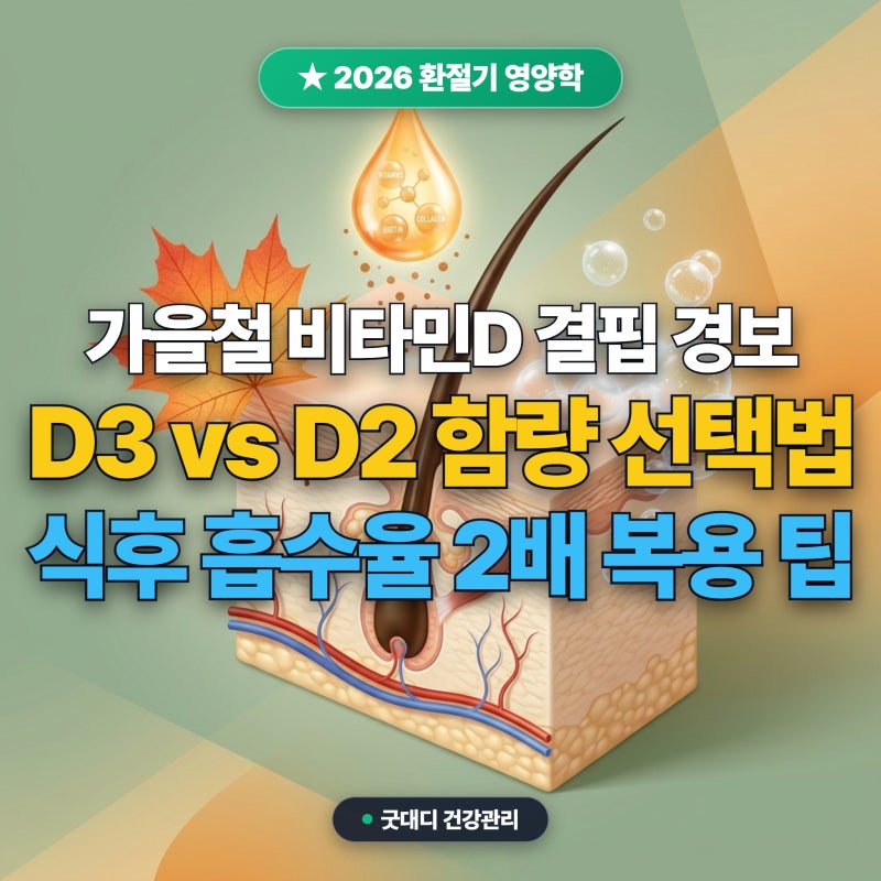 2026 환절기 비타민D 결핍 증상 영양제 함량 선택 및 복용법