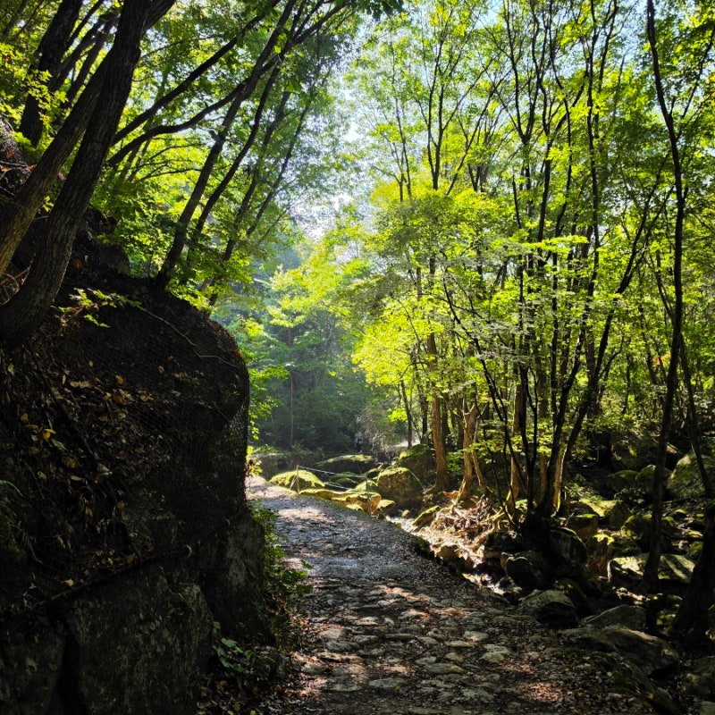 치악산 구룡사~사다리병창 비로봉 등산코스 | 편안한 부곡코스로 하산