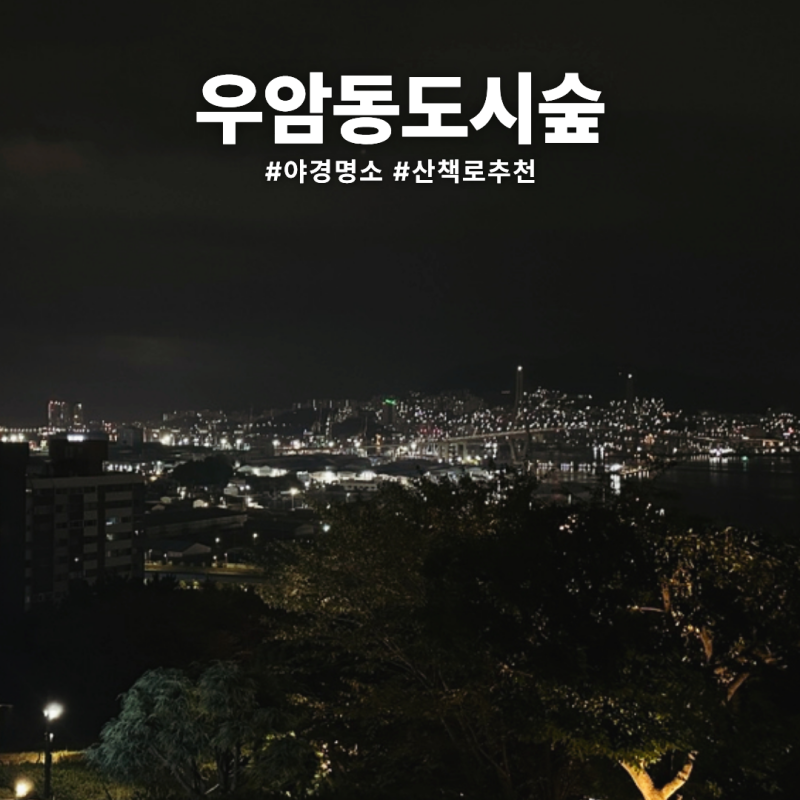 부산 야경 명소 우암동 도시숲 드라이브코스 산책로 추천 방문후기