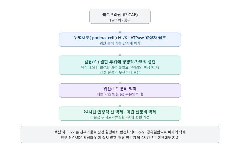 펙수프라잔(Fexuprazan) / 펙수클루정.위식도역류질환.급성위염.만성위염.위점막병변개선.소화....