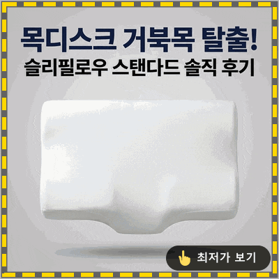 목디스크 거북목 탈출! 슬리필로우 경추베개 스탠다드 솔직 후기