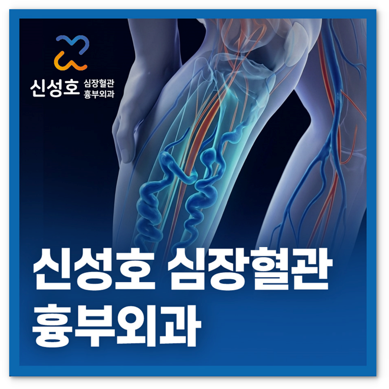 하지정맥류 수술 명의, 어디서 치료 받아야 할지 고민이라면 <중랑구 의정부 양주 하남 혈관....