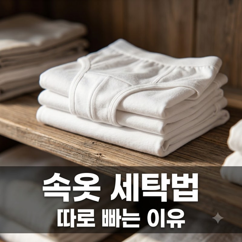 속옷 세탁법 수건과 같이 빨면 안 되는 3가지 이유 정리