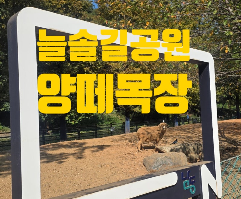 인천의 양떼목장, 늘솔길 근린공원