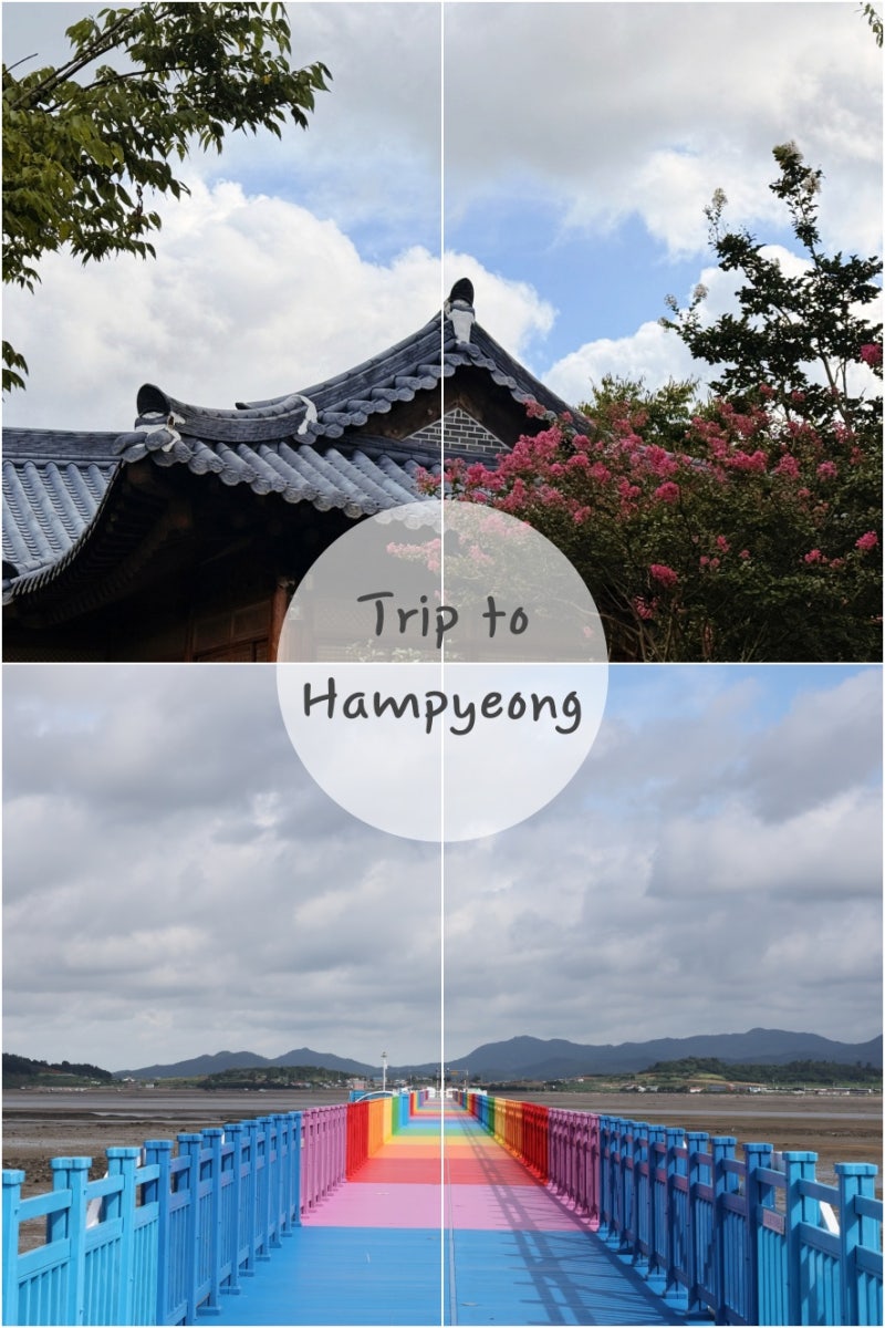 咸平在地旅遊必訪景點：從朱浦韓屋村到石頭海灘