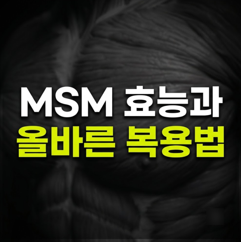 MSM/콘드로이친/글루코사민 비교, 관절염증 영양제 MSM 효능과 속 쓰림 없는 복용 시간