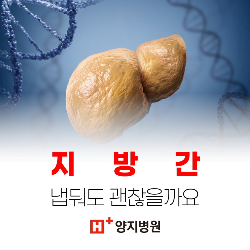 건강검진에서 발견된 지방간, 그냥 내버려둬도 괜찮을까?