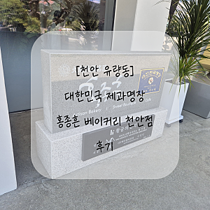 [천안 유량동] 3층 규모 천안 대형 카페, 대형 수족관 물멍 카페 홍종흔베이커리 후기