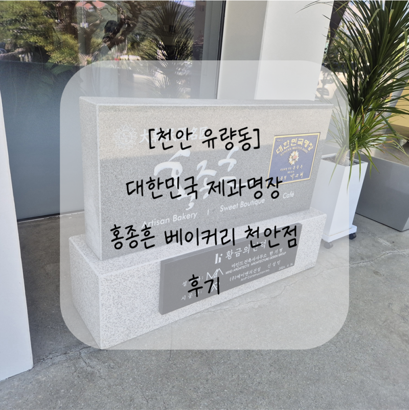 [천안 유량동] 3층 규모 천안 대형 카페, 대형 수족관 물멍 카페 홍종흔베이커리 후기