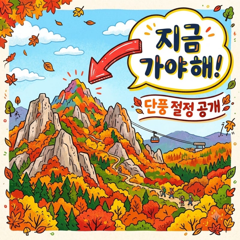 2026 설악산 단풍시기 절정 예측 및 실시간 개화 현황 총정리