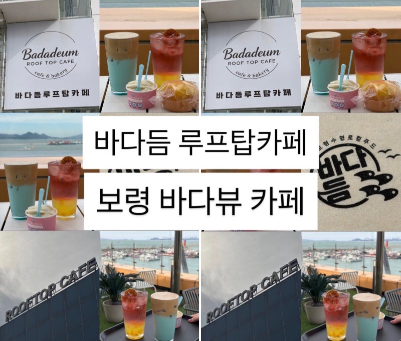 보령카페 바다듬 루프탑카페 대천항이 한눈에 보이는 뻥 뚫린 바다뷰 애견동반카페