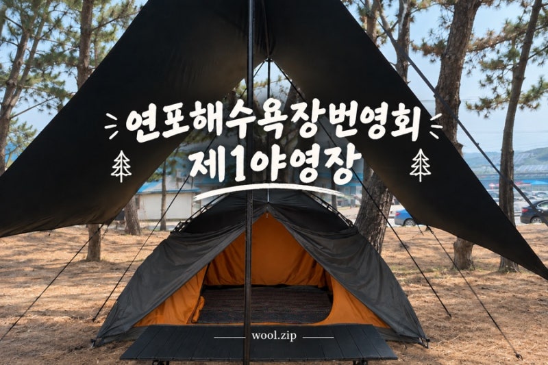 태안 오션뷰 캠핑장 연포해수욕장번영회 제1야영장 캠핑&해루질 즐긴 후기 (+명당추천)