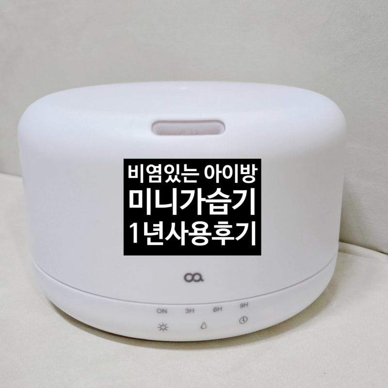 가을만 되면 비염으로 고생하는 6살 아이방 미니 초음파 가습기 추천 오아1000ml 후기
