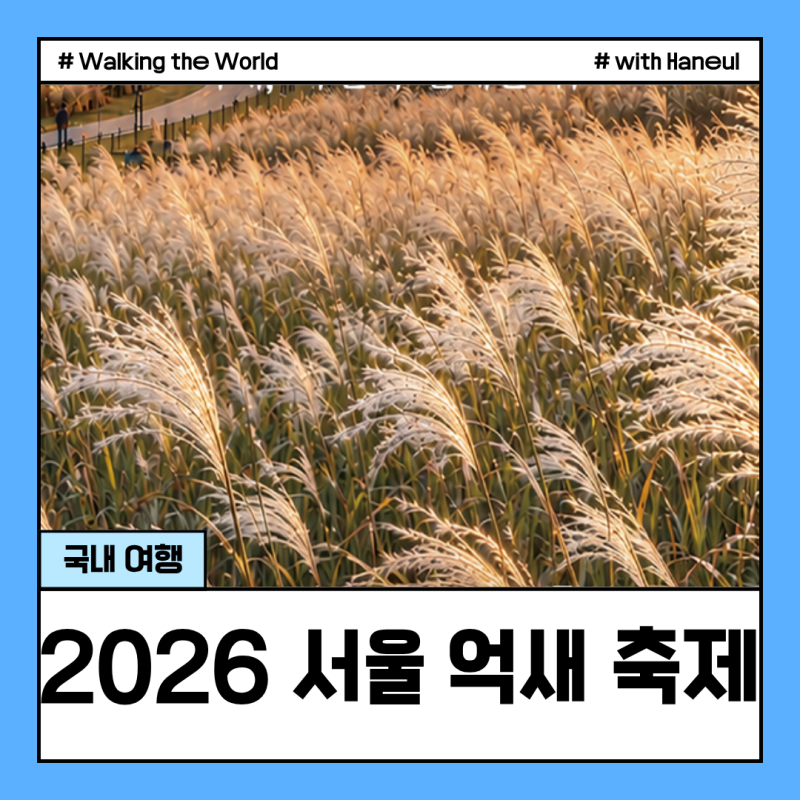 2026 서울 억새 축제 하늘공원 맹꽁이열차 야간조명 가는법 총정리