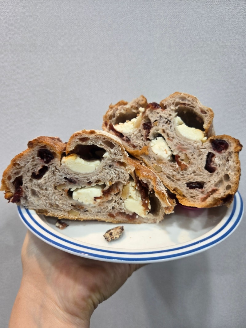 손예진빵 브랜드, 프레시오늘 우리밀 리얼버터 크림치즈 깜파뉴 내돈내산 솔직 후기 ✨