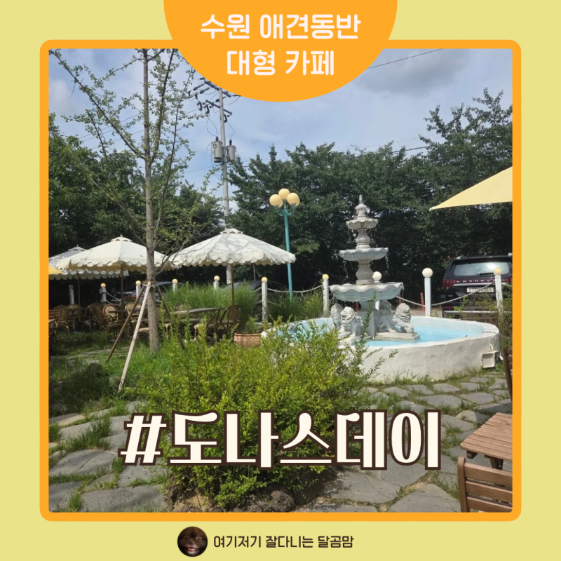 수원 오목천동 애견동반 대형카페 도나스데이