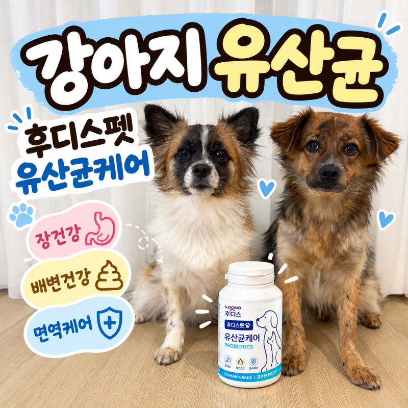 강아지 유산균 추천, 3가지 유산균을 한 번에 챙기는 후디스펫