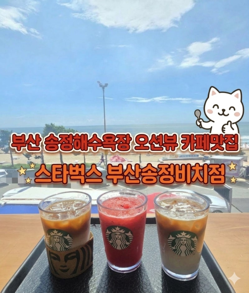 스타벅스 부산송정비치점 : 부산 송정해수욕장 오션뷰 카페맛집