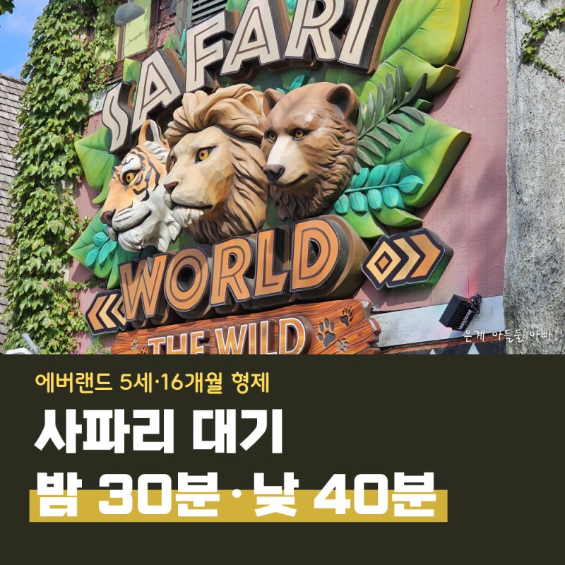 에버랜드 사파리 대기 밤 30분·낮 40분, 와일드 사바나 익스페디션 유모차 후기 (5세·16개월)