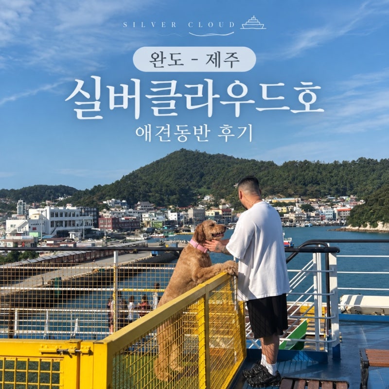 대형견과 제주도 배여행｜완도-제주 실버클라우드호 반려견 동반 후기 | 한일고속페리 애견....