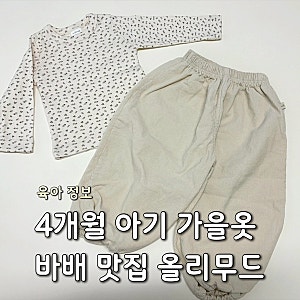 4개월 아기 가을옷 쇼핑 | 멜멜, 파이 사이즈 추천 | 남대문 아기옷 바배 올리무드 내돈내산 ....