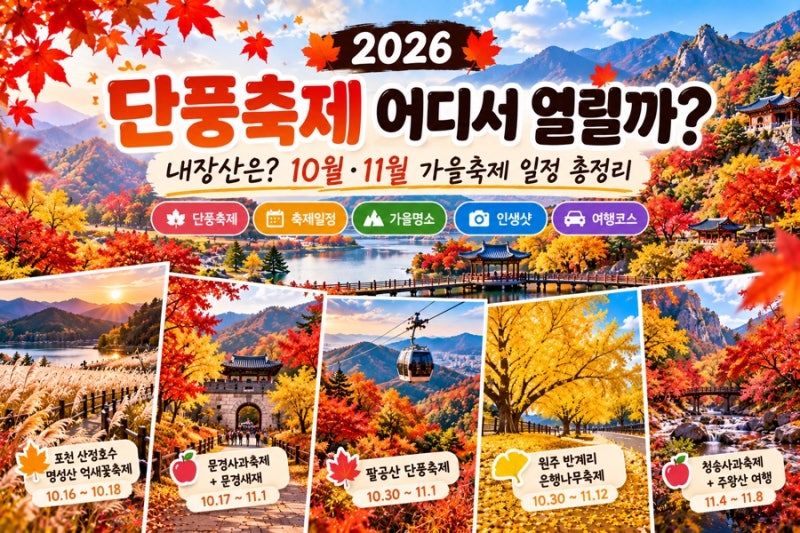 2026 단풍축제 어디서 열릴까? 내장산은? 10월·11월 가을축제 일정 총정리